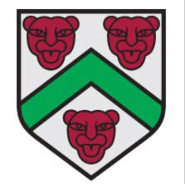 CRICKET - Stratford-upon-Avon suffer four-wicket defeat at Rugby